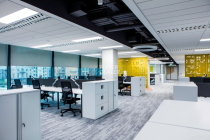 Shared Path на акустической основе Echo Acoustic 924 фото 5 | FLOORDEALER